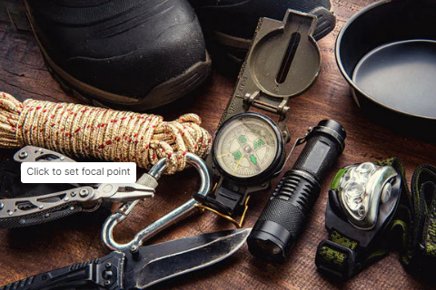 Gear